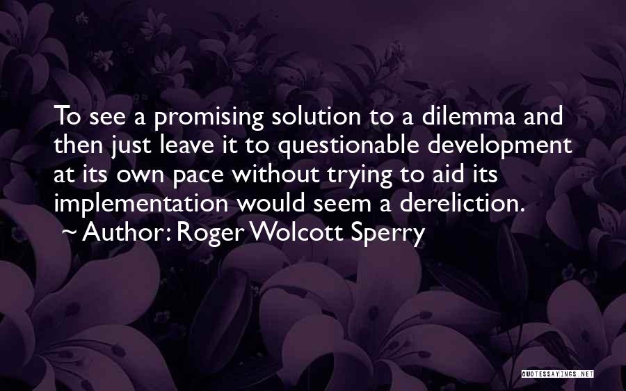 Roger Wolcott Sperry Quotes: To See A Promising Solution To A Dilemma And Then Just Leave It To Questionable Development At Its Own Pace