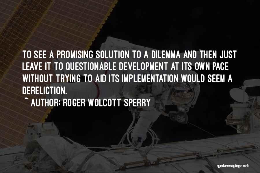 Roger Wolcott Sperry Quotes: To See A Promising Solution To A Dilemma And Then Just Leave It To Questionable Development At Its Own Pace