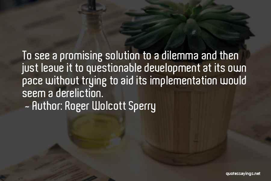 Roger Wolcott Sperry Quotes: To See A Promising Solution To A Dilemma And Then Just Leave It To Questionable Development At Its Own Pace