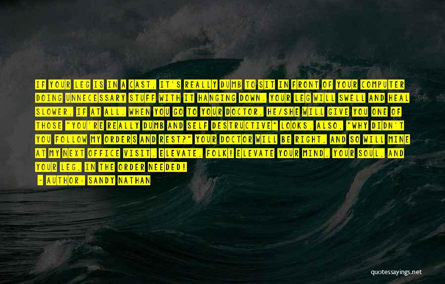 Sandy Nathan Quotes: If Your Leg Is In A Cast, It's Really Dumb To Sit In Front Of Your Computer Doing Unnecessary Stuff