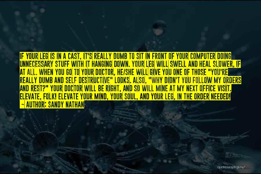 Sandy Nathan Quotes: If Your Leg Is In A Cast, It's Really Dumb To Sit In Front Of Your Computer Doing Unnecessary Stuff