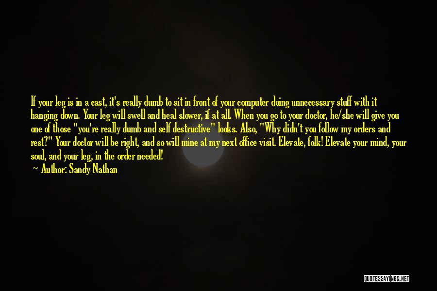 Sandy Nathan Quotes: If Your Leg Is In A Cast, It's Really Dumb To Sit In Front Of Your Computer Doing Unnecessary Stuff