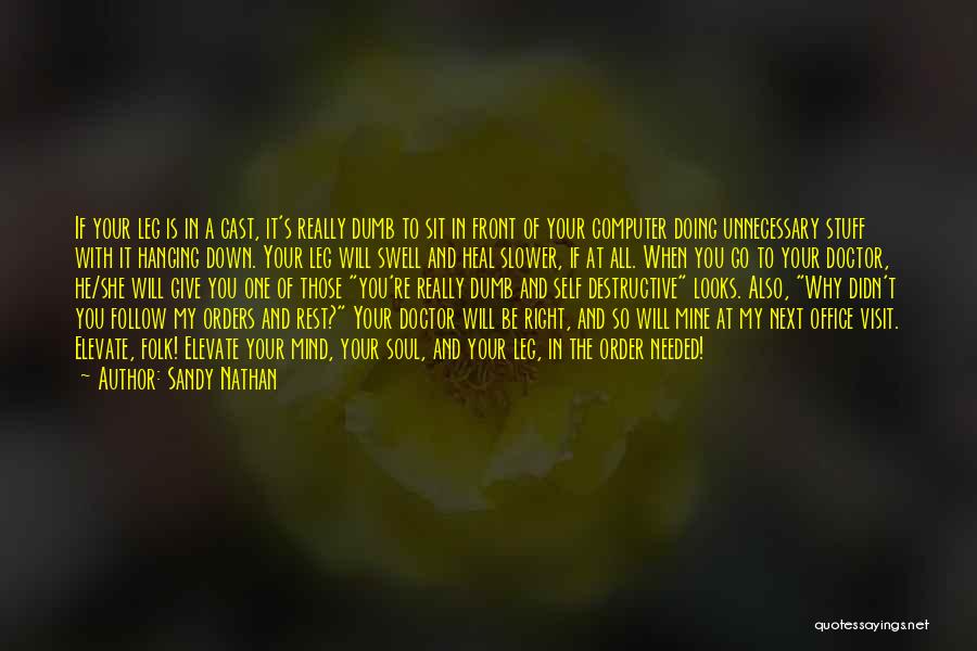 Sandy Nathan Quotes: If Your Leg Is In A Cast, It's Really Dumb To Sit In Front Of Your Computer Doing Unnecessary Stuff