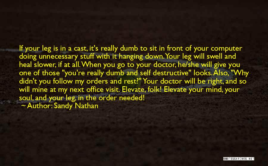 Sandy Nathan Quotes: If Your Leg Is In A Cast, It's Really Dumb To Sit In Front Of Your Computer Doing Unnecessary Stuff