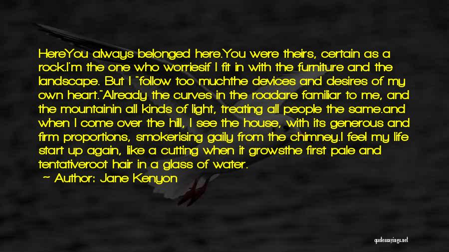 Jane Kenyon Quotes: Hereyou Always Belonged Here.you Were Theirs, Certain As A Rock.i'm The One Who Worriesif I Fit In With The Furniture