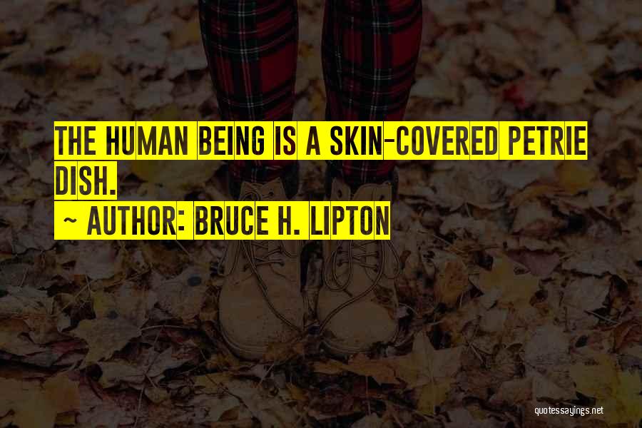 Bruce H. Lipton Quotes: The Human Being Is A Skin-covered Petrie Dish.