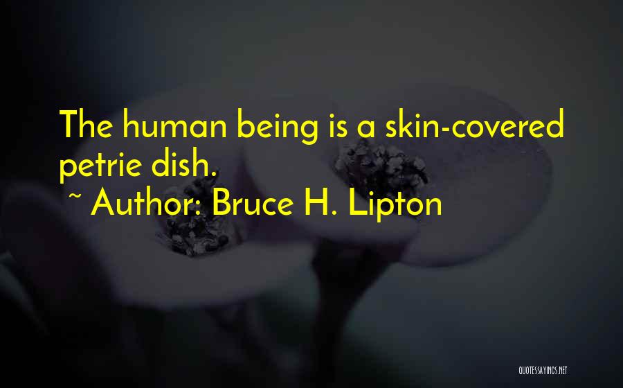 Bruce H. Lipton Quotes: The Human Being Is A Skin-covered Petrie Dish.
