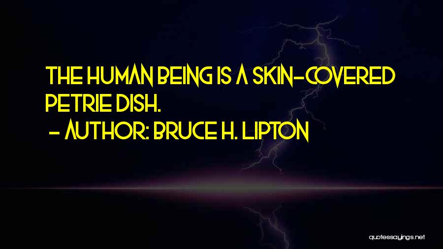 Bruce H. Lipton Quotes: The Human Being Is A Skin-covered Petrie Dish.
