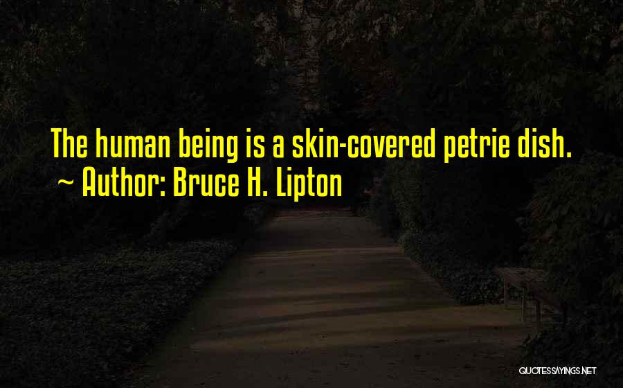 Bruce H. Lipton Quotes: The Human Being Is A Skin-covered Petrie Dish.