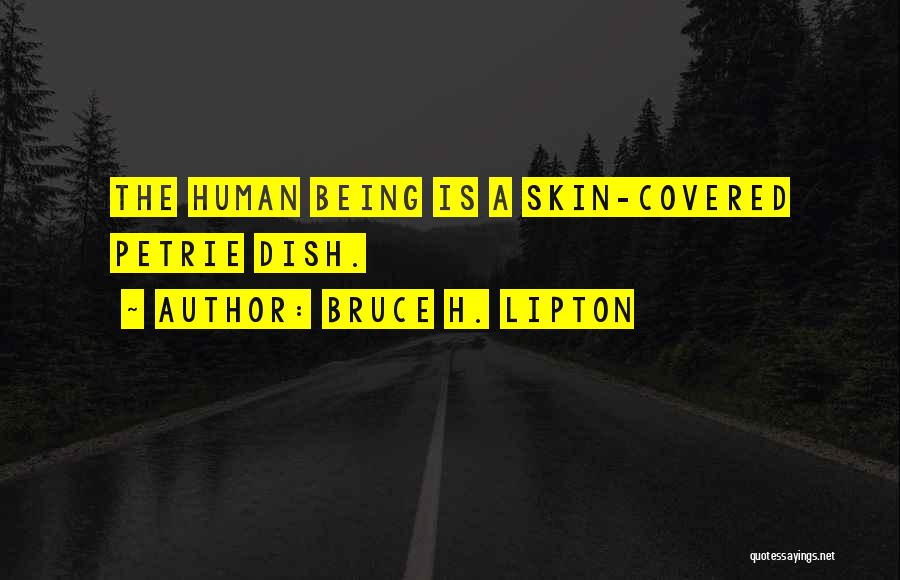 Bruce H. Lipton Quotes: The Human Being Is A Skin-covered Petrie Dish.