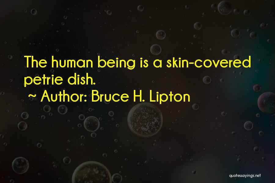 Bruce H. Lipton Quotes: The Human Being Is A Skin-covered Petrie Dish.