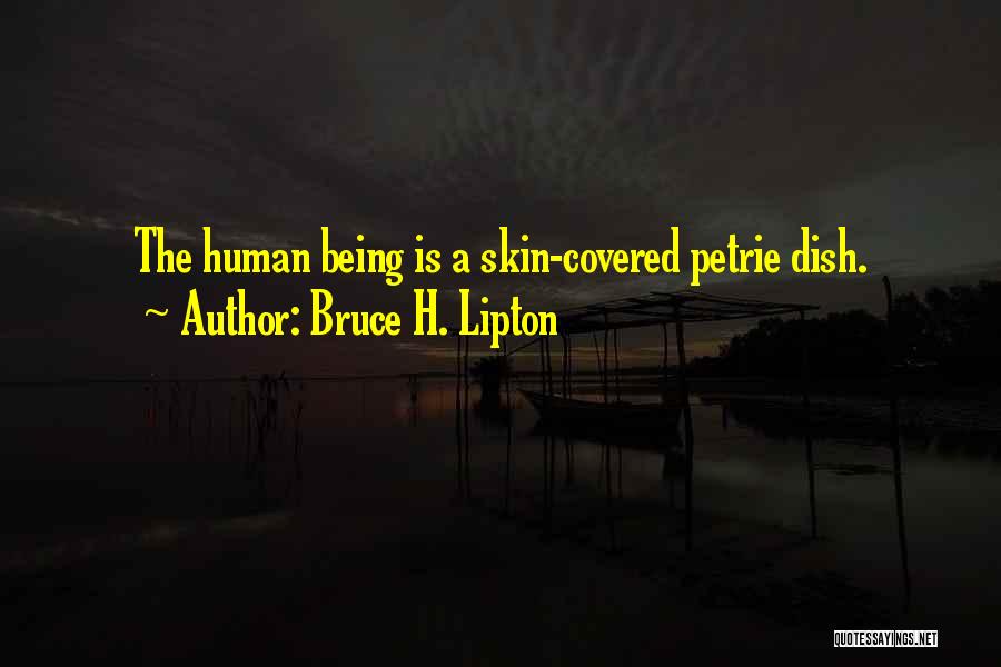 Bruce H. Lipton Quotes: The Human Being Is A Skin-covered Petrie Dish.