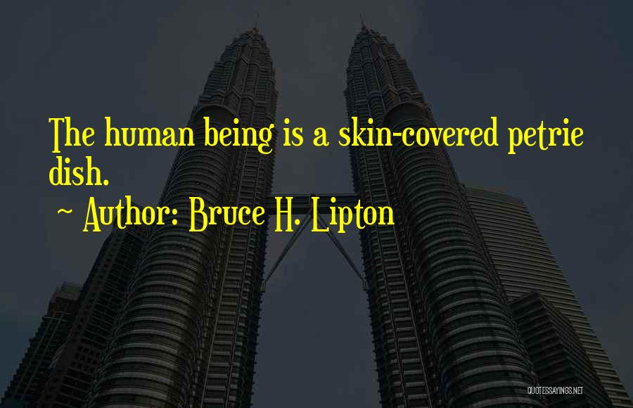 Bruce H. Lipton Quotes: The Human Being Is A Skin-covered Petrie Dish.