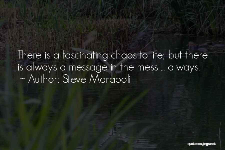 Steve Maraboli Quotes: There Is A Fascinating Chaos To Life; But There Is Always A Message In The Mess ... Always.