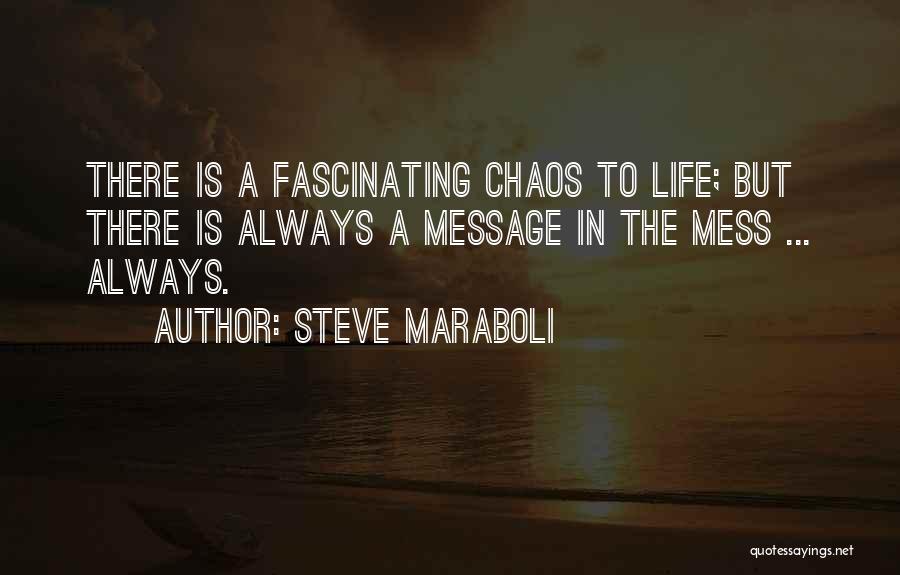 Steve Maraboli Quotes: There Is A Fascinating Chaos To Life; But There Is Always A Message In The Mess ... Always.