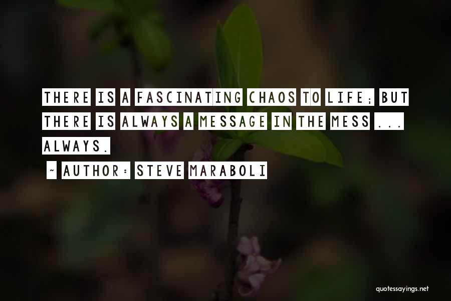 Steve Maraboli Quotes: There Is A Fascinating Chaos To Life; But There Is Always A Message In The Mess ... Always.