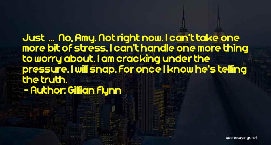 Gillian Flynn Quotes: Just ... No, Amy. Not Right Now. I Can't Take One More Bit Of Stress. I Can't Handle One More