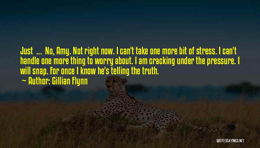 Gillian Flynn Quotes: Just ... No, Amy. Not Right Now. I Can't Take One More Bit Of Stress. I Can't Handle One More