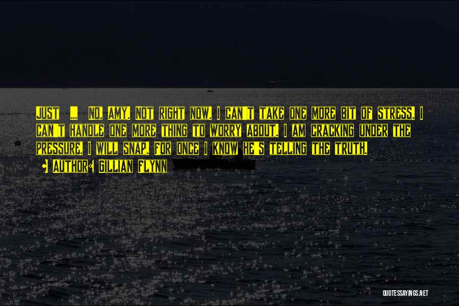 Gillian Flynn Quotes: Just ... No, Amy. Not Right Now. I Can't Take One More Bit Of Stress. I Can't Handle One More