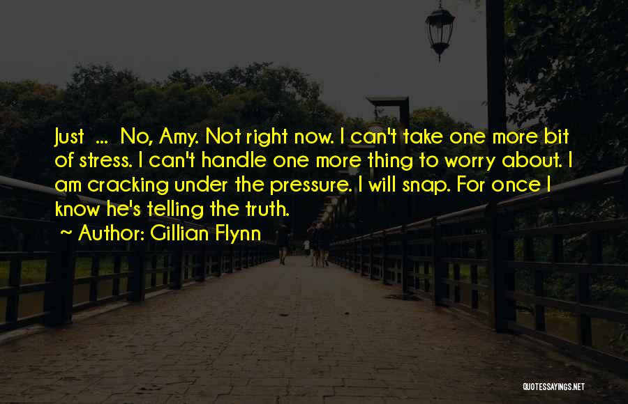 Gillian Flynn Quotes: Just ... No, Amy. Not Right Now. I Can't Take One More Bit Of Stress. I Can't Handle One More