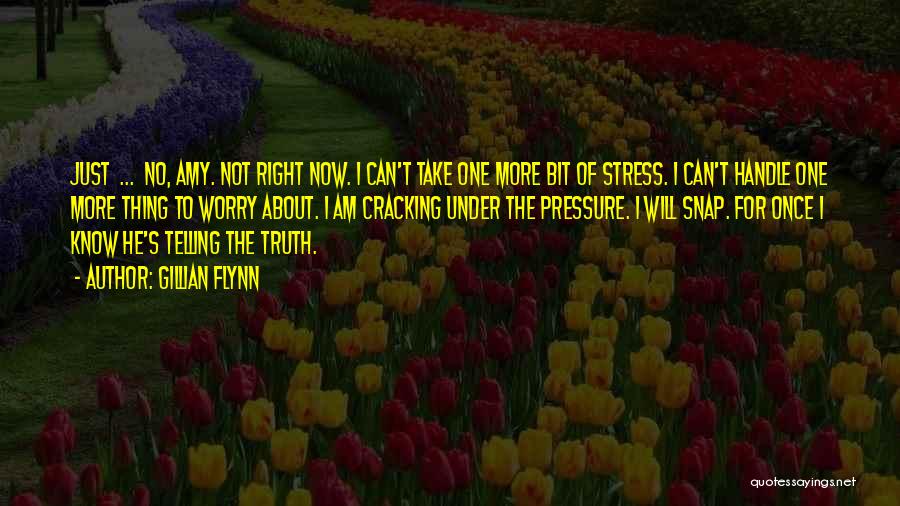 Gillian Flynn Quotes: Just ... No, Amy. Not Right Now. I Can't Take One More Bit Of Stress. I Can't Handle One More