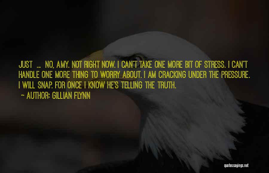 Gillian Flynn Quotes: Just ... No, Amy. Not Right Now. I Can't Take One More Bit Of Stress. I Can't Handle One More