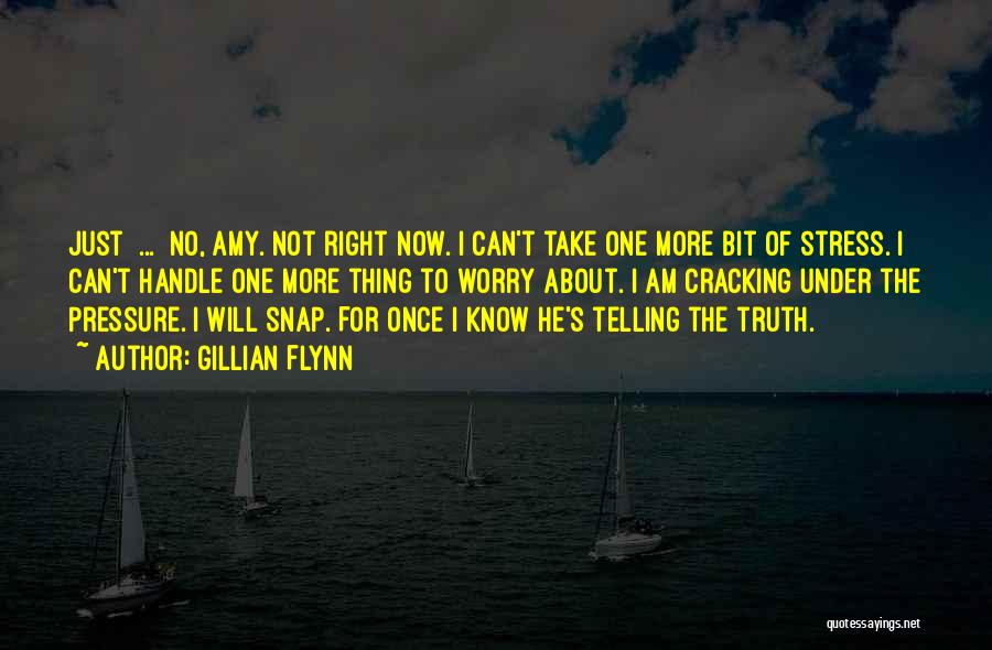 Gillian Flynn Quotes: Just ... No, Amy. Not Right Now. I Can't Take One More Bit Of Stress. I Can't Handle One More