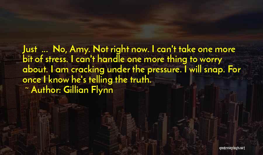 Gillian Flynn Quotes: Just ... No, Amy. Not Right Now. I Can't Take One More Bit Of Stress. I Can't Handle One More