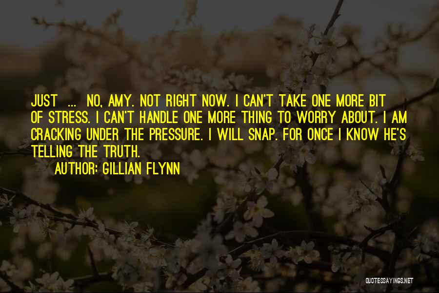 Gillian Flynn Quotes: Just ... No, Amy. Not Right Now. I Can't Take One More Bit Of Stress. I Can't Handle One More