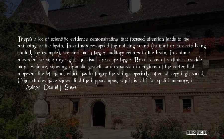 Daniel J. Siegel Quotes: There's A Lot Of Scientific Evidence Demonstrating That Focused Attention Leads To The Reshaping Of The Brain. In Animals Rewarded