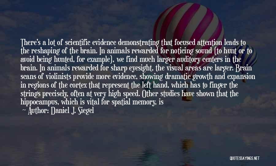 Daniel J. Siegel Quotes: There's A Lot Of Scientific Evidence Demonstrating That Focused Attention Leads To The Reshaping Of The Brain. In Animals Rewarded