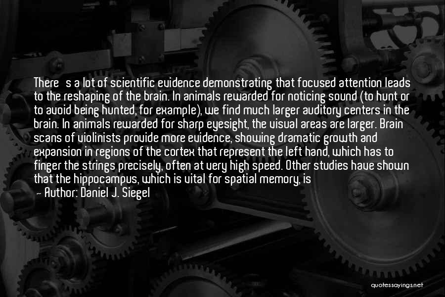 Daniel J. Siegel Quotes: There's A Lot Of Scientific Evidence Demonstrating That Focused Attention Leads To The Reshaping Of The Brain. In Animals Rewarded