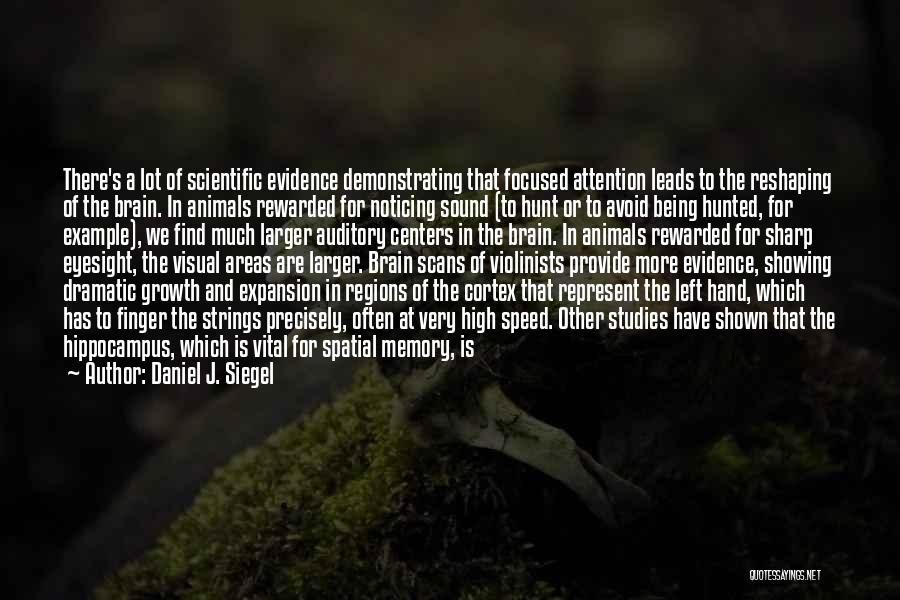 Daniel J. Siegel Quotes: There's A Lot Of Scientific Evidence Demonstrating That Focused Attention Leads To The Reshaping Of The Brain. In Animals Rewarded