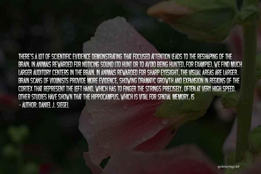 Daniel J. Siegel Quotes: There's A Lot Of Scientific Evidence Demonstrating That Focused Attention Leads To The Reshaping Of The Brain. In Animals Rewarded