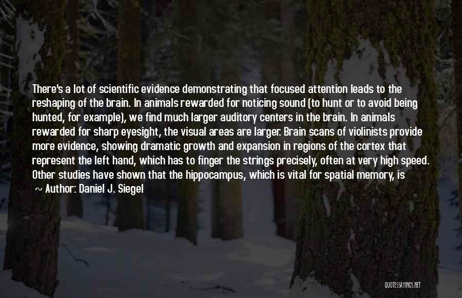 Daniel J. Siegel Quotes: There's A Lot Of Scientific Evidence Demonstrating That Focused Attention Leads To The Reshaping Of The Brain. In Animals Rewarded