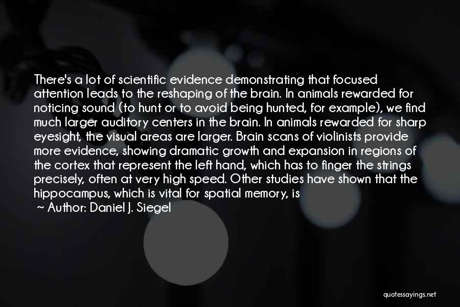 Daniel J. Siegel Quotes: There's A Lot Of Scientific Evidence Demonstrating That Focused Attention Leads To The Reshaping Of The Brain. In Animals Rewarded