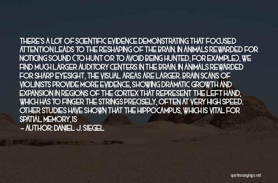 Daniel J. Siegel Quotes: There's A Lot Of Scientific Evidence Demonstrating That Focused Attention Leads To The Reshaping Of The Brain. In Animals Rewarded