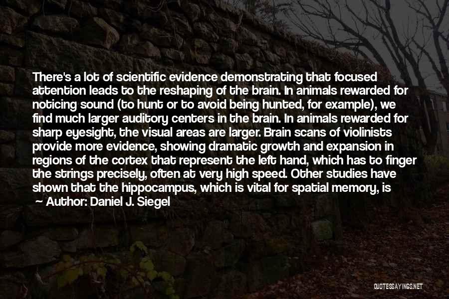 Daniel J. Siegel Quotes: There's A Lot Of Scientific Evidence Demonstrating That Focused Attention Leads To The Reshaping Of The Brain. In Animals Rewarded