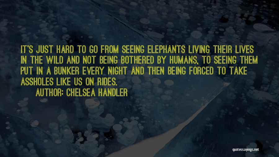 Chelsea Handler Quotes: It's Just Hard To Go From Seeing Elephants Living Their Lives In The Wild And Not Being Bothered By Humans,