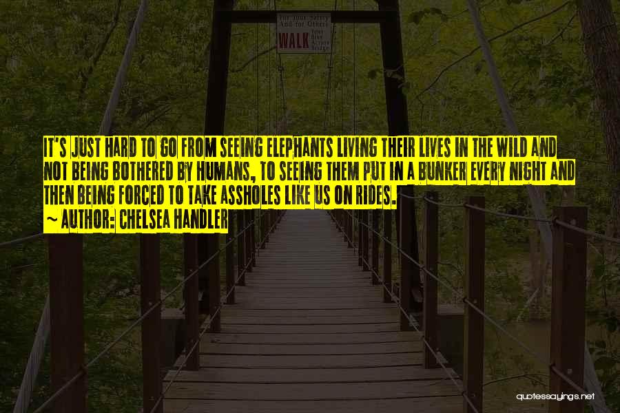 Chelsea Handler Quotes: It's Just Hard To Go From Seeing Elephants Living Their Lives In The Wild And Not Being Bothered By Humans,