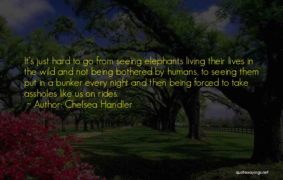 Chelsea Handler Quotes: It's Just Hard To Go From Seeing Elephants Living Their Lives In The Wild And Not Being Bothered By Humans,