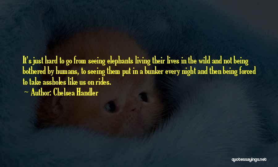 Chelsea Handler Quotes: It's Just Hard To Go From Seeing Elephants Living Their Lives In The Wild And Not Being Bothered By Humans,