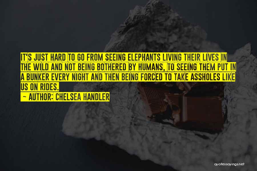 Chelsea Handler Quotes: It's Just Hard To Go From Seeing Elephants Living Their Lives In The Wild And Not Being Bothered By Humans,
