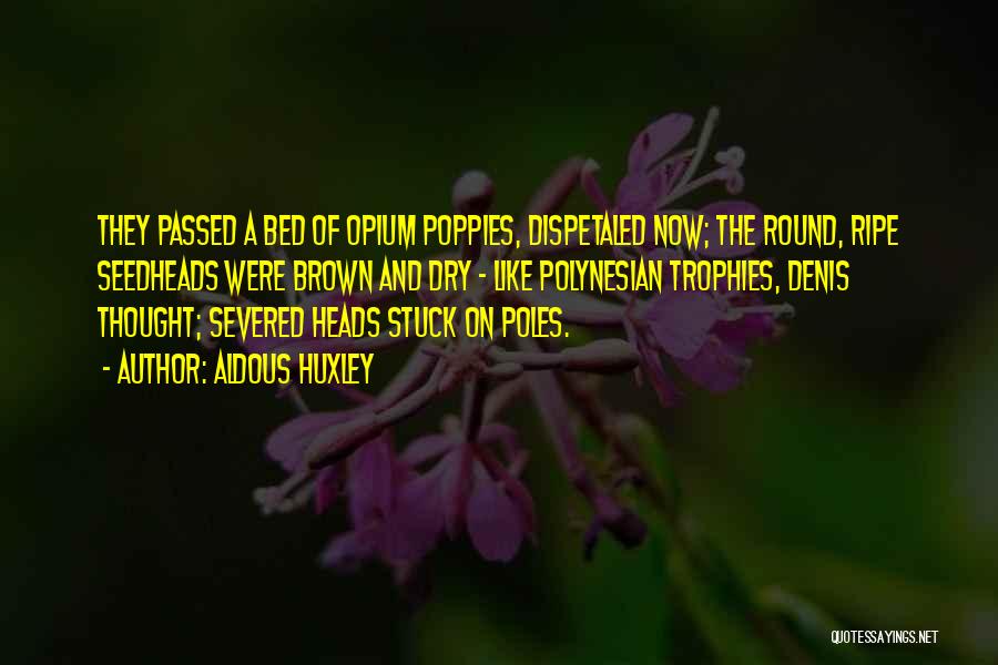 Aldous Huxley Quotes: They Passed A Bed Of Opium Poppies, Dispetaled Now; The Round, Ripe Seedheads Were Brown And Dry - Like Polynesian