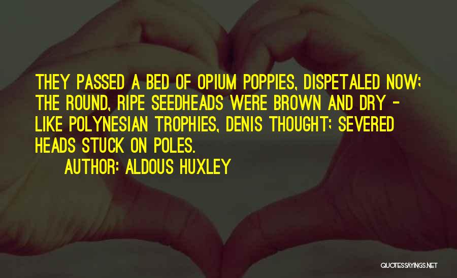 Aldous Huxley Quotes: They Passed A Bed Of Opium Poppies, Dispetaled Now; The Round, Ripe Seedheads Were Brown And Dry - Like Polynesian
