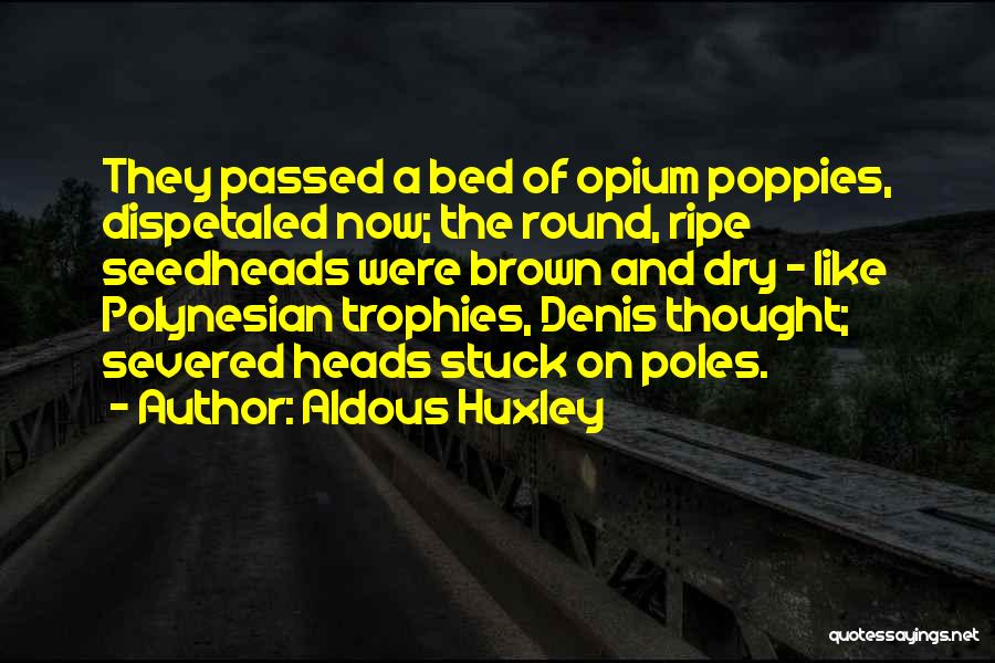 Aldous Huxley Quotes: They Passed A Bed Of Opium Poppies, Dispetaled Now; The Round, Ripe Seedheads Were Brown And Dry - Like Polynesian