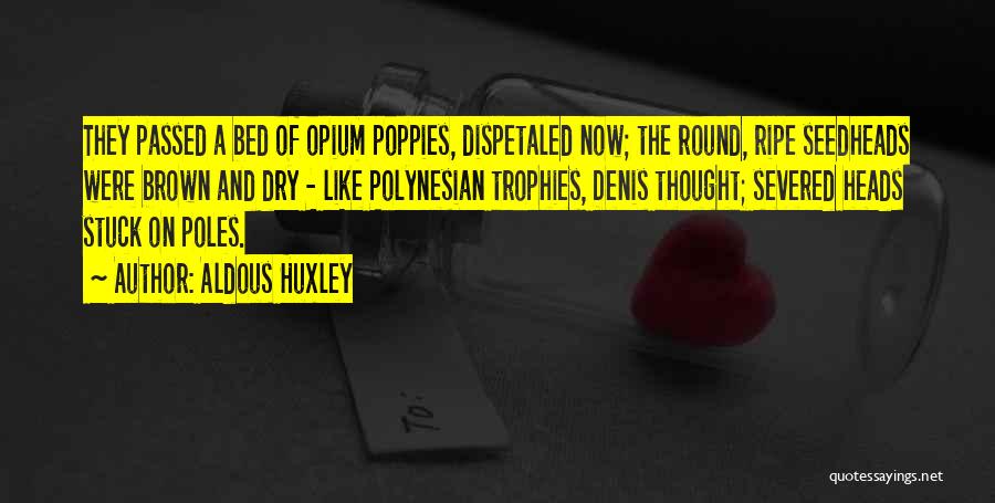 Aldous Huxley Quotes: They Passed A Bed Of Opium Poppies, Dispetaled Now; The Round, Ripe Seedheads Were Brown And Dry - Like Polynesian