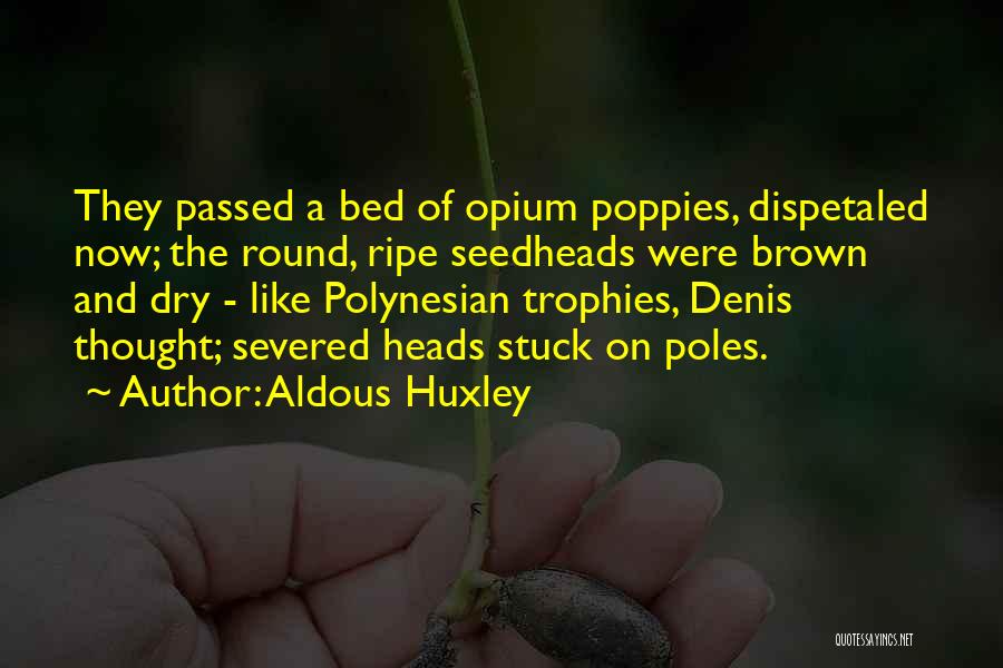 Aldous Huxley Quotes: They Passed A Bed Of Opium Poppies, Dispetaled Now; The Round, Ripe Seedheads Were Brown And Dry - Like Polynesian