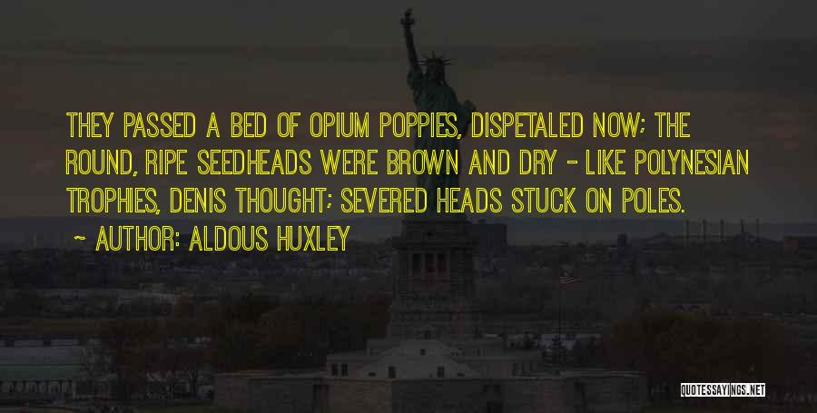 Aldous Huxley Quotes: They Passed A Bed Of Opium Poppies, Dispetaled Now; The Round, Ripe Seedheads Were Brown And Dry - Like Polynesian