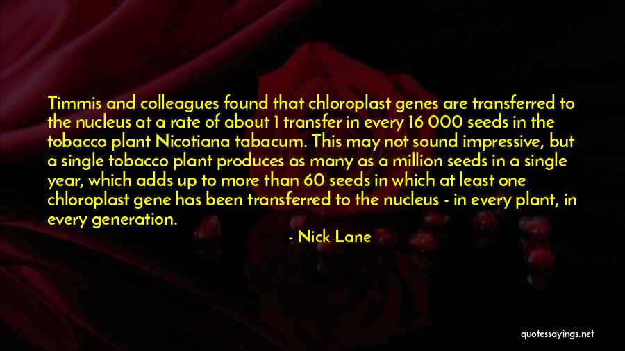 1620 Mayflower Quotes By Nick Lane 1620 Mayflower Quotes By Nick Lane